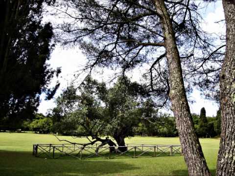 Proljeće u Maruševcu