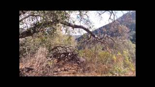 preview picture of video 'Tony Alvis Trail, Casitas Springs, California'