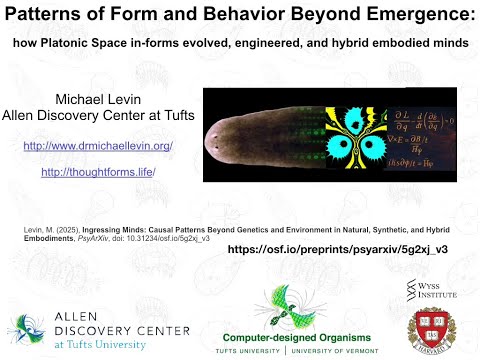 Patterns of Form and Behavior Beyond Emergence by Michael Levin