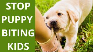 Stop Puppy Biting Kids Fast With This Simple Method