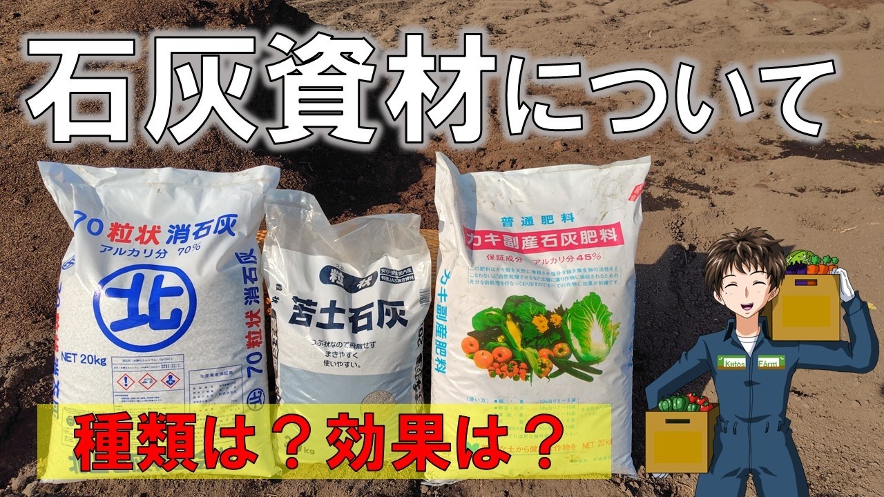 【石灰】消石灰、苦土石灰、有機石灰、どれ使う？