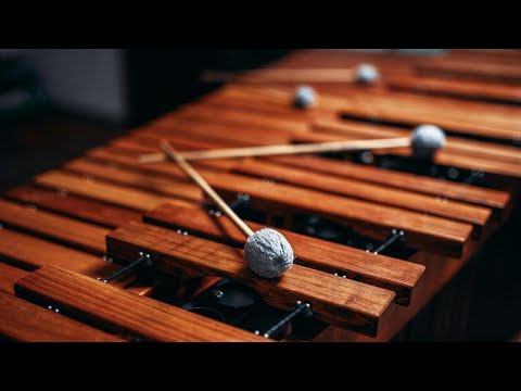 Marimbakonzert mit der Percussion Community Rostock