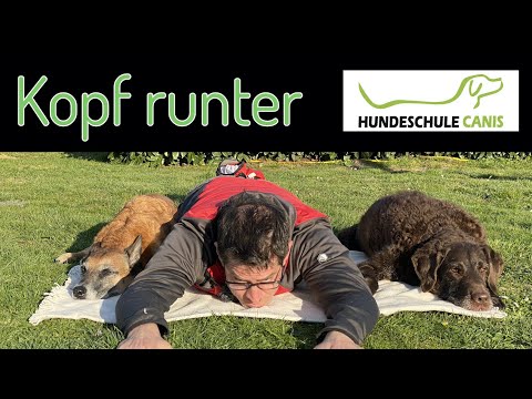 Kopf runter -Hundeschule Canis