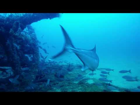 Proteus Wreck 03 July 16