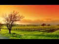 Armin Van Buuren feat. Justine Suissa- Burned ...