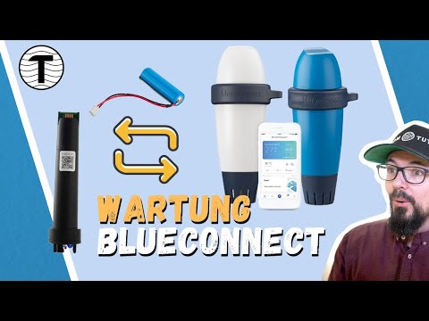 Blue Connect Blueriiot Maintenance #TomTuT #Poolheld