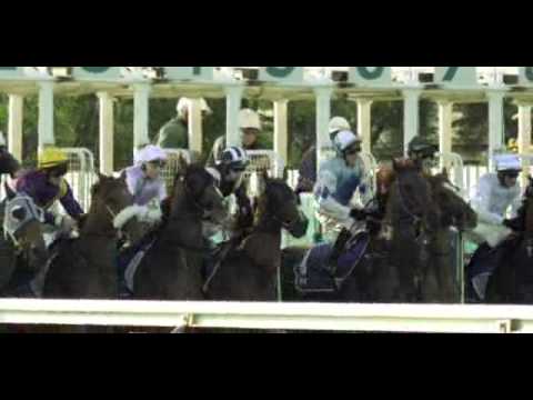 Brisbane Racing Club - Cinema Ad