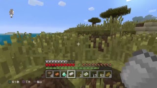 ［マイクラ］前回のみるきーはいません！雑談配信!!