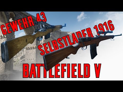 Weapon Comparison Gewehr 43 & Selbstlader 1916 - Battlefield V
