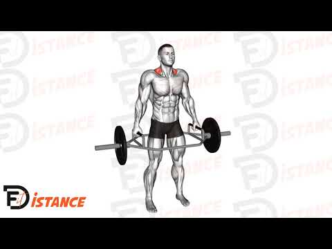 Exercice Shrugs à la trap bar