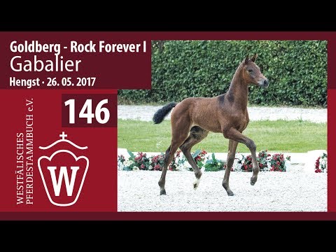 146 Gabalier  Hengst v. Goldberg  Rock Forever I