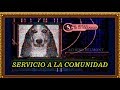 Servicio A La Comunidad Ｄｅｓａｐａｒｅｃｉｄｏｓ Meme ＥＤＵＡＲＤＯ Eduardo