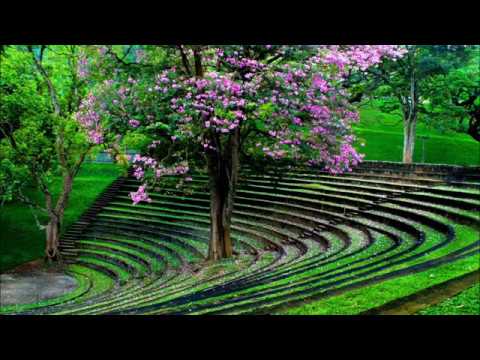 Sarasaviyedi Heta Vitharai - Dayarathna Ranathunga