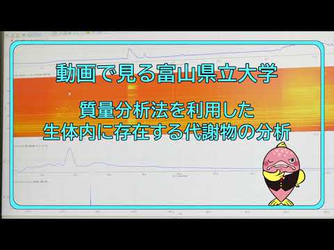 富山県立大学　動画で見る県大　質量分析法を利用した生体内に存在する代謝物の分析