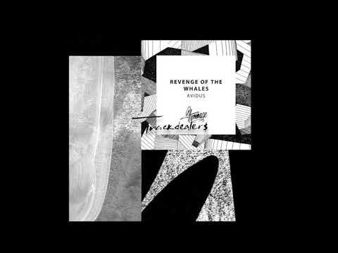 Ruins (Marino Canal Remix)  Avidus