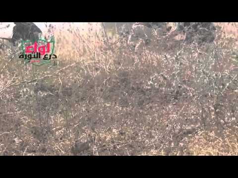 اشتباكات بين لواء درع الثورة  وقوات النظام في بسنقول