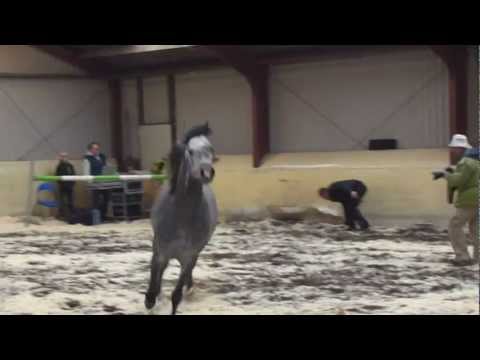 Pristice Kossack 07-04-2012