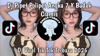 Download lagu DJ PIPET POLIPET ANGKA 7 X BUDAK CIAMIS || REMIX GARAM CINA VIRAL TIKTOK TERBARU 2025 !! mp3