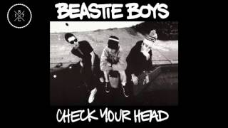 The Beastie Boys - The Skills To Pay The Bills (Original Version) - Check Your Head (1992)