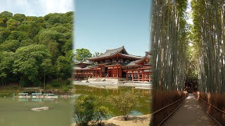 No Words, Just Japan With the Fujifilm x100vi | 33