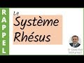 [17] SYSTEME RHESUS