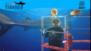 DIA 3 Expo Tiburon160