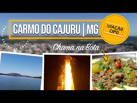 Carmo do Cajuru: A CIDADE REFERÊNCIA NA ONU! | A Viação Cipó te conta tudo!