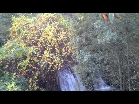 Descargamaría: El Árrago y sus afluentes