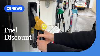 Economist calls for fuel excise to return to petrol, but not diesel | ABC NEWS