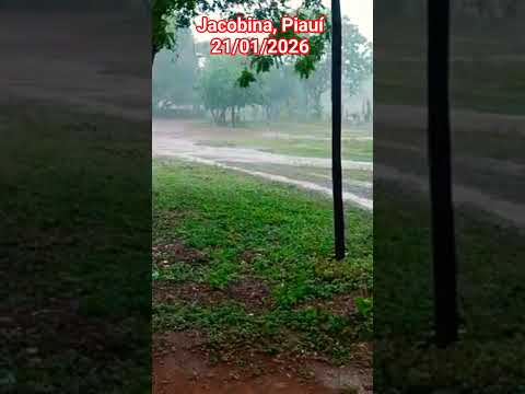 🇧🇷 JACOBINA DO PIAUÍ 21/01/2026 #chuvas #flood #rain #farming #sitio