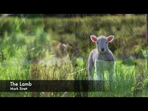 'The Lamb' by Mark Sirett