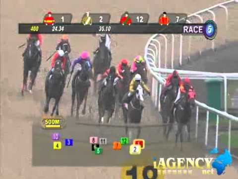 SINGAPORE RACE 26/01/2014 RACE 5 - iAgencyNet.com