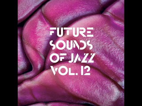 THE GLIMMER TWINS Presents THE DISKO DRUNKARDS - Snatch