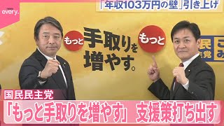 【国民民主党】公約発表「『もっと』手取りを増やす」 支援策打ち出す