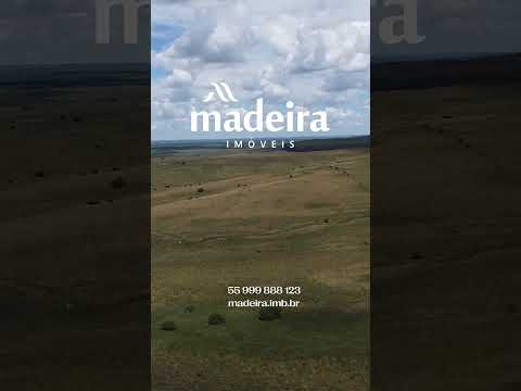 Fazenda de 926 ha com água garantida em Lavras do Sul na divisa com São Gabriel - Rio Grande do Sul