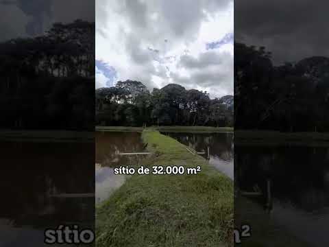 ✅Sitio com 33.000 m² , em Pinhalzinho, interior de São Paulo - COD: 1717