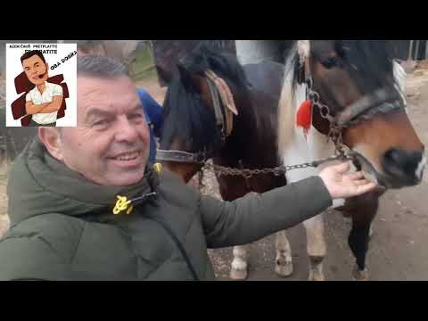 Imao sve pa sve  izgubio  pa  opet imam fala  bogu u posjeti u Karauli kod Rehana