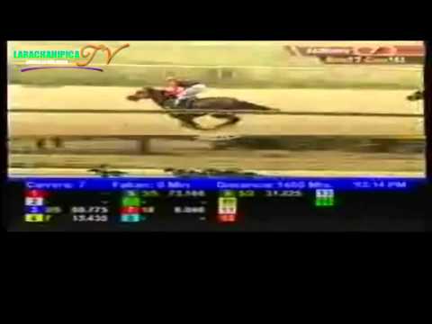 VALENCIA 7 CARRERA VIERNES 04 DE ABRIL DEL 2014