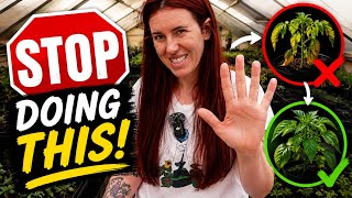 Your Plants Recover Faster If You Stop This