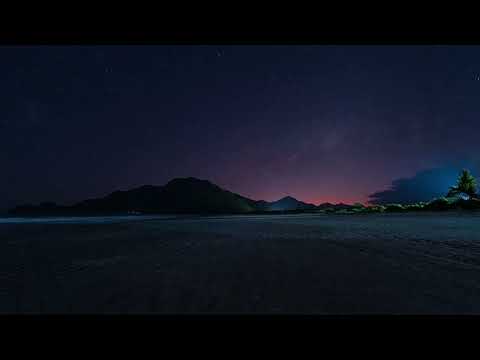 Scott Rill - Fly Fly Fly