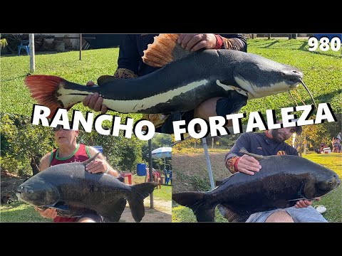 BIG TAMBA FISH AT RANCHO FORTALEZA - FISHING TOUR 980