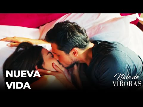 Rendirse Por El Amor - Nido De Víboras Capitulo 11 (Dobladas en Español)