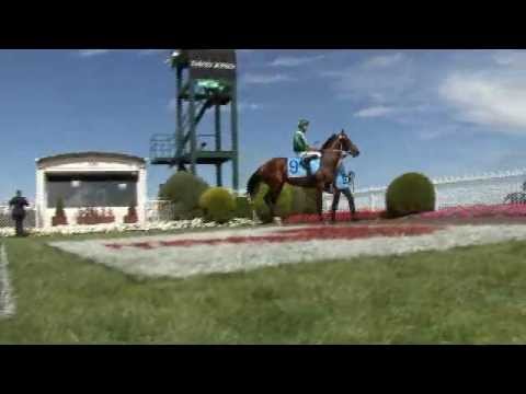 MFR News Round Up -  Orr Stakes Day