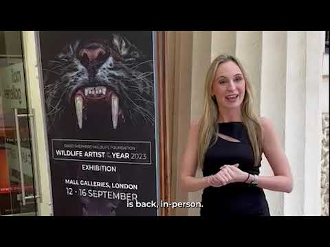Wildlife Artist of the Year 2023 Exhibition