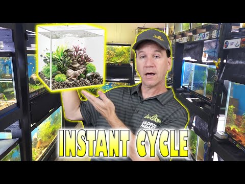 How to Instantly Cycle an Aquarium