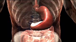 Wettessen auf der Wiesn