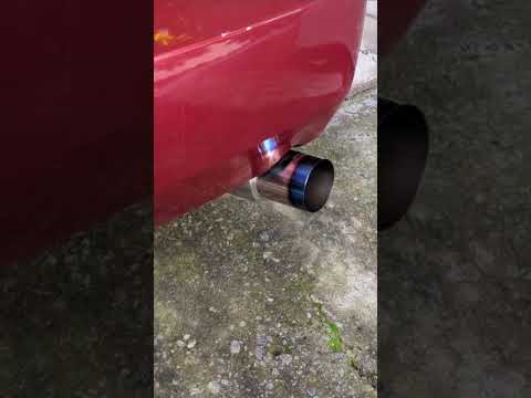 Evil Energy Amazon Muffler | Mustang 05