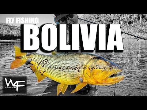 W4F - Fly Fishing Golden Dorado "Bolivia" at Tsimane Lodge