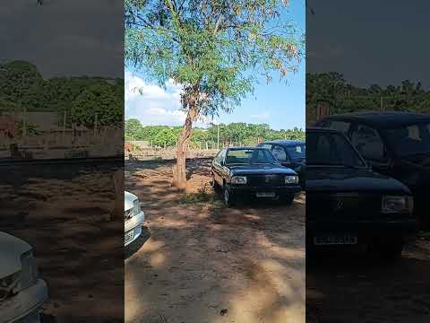 PROMISSÃO INTERIOR DE SP.. TV CHINA