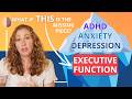 What Is Executive Function And Why Is Executive Dysfunction So Bad For Mental Health